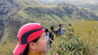 first day in  DZUKOU valley #nagaland / Nagaland beautiful valley@ek_naga