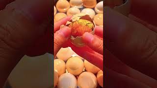 p585 | Balut eggs are super delicious #asmr #mukabang #funny