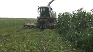 Жатка Krone FP 6000 + Jaguar 830