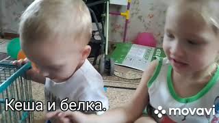 vlog ✓32. купили #попугай , летаем на #дрон поймали голубя.