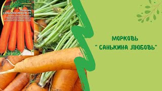 ☝🌿 Морковь " Санькина любовь"