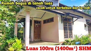 Rumah apik kayu balau di tanah luas cocok untuk berkebun dan berternak di kampung