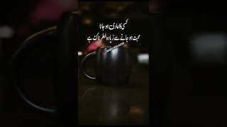 ROMANTIC URDU POETRY URDU SHAYARI SAD STATUS VIDEO 2023