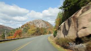 Is Black Ice Ahead? Temperature Warning w/Rick & Scout