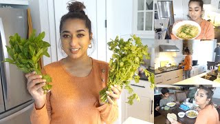 LET'S COOK DINNER TOGETHER | BIRYANI FOR DINNER #Dailyvlog