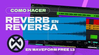 Como crear el efecto Reverb en Reversa - Waveform Free 13