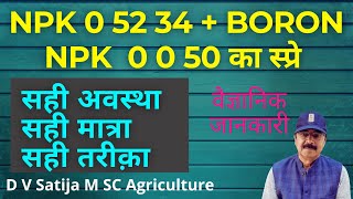 potassium sulphate | time & dose of npk 0 0 50 & npk 0 52 34 at flowering | boron & chelated zinc |