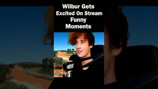 Wilbur Soot Gets Excited On Stream  Funny Moments