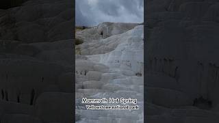 Yellowstone National Park #travel #shortvideo #yellowstone #yellowstonenationalpark #hotspring