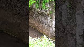 Spearfish Canyon waterfalls