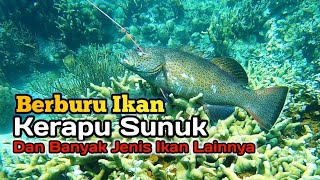 Berenang dan Menangkap Banyak Ikan untuk Keluarga