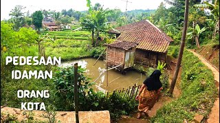 Pedesaan Idaman Orang Kota Sepanjang Masa | 4K