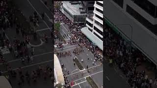 New Zealanders protest the Treaty Principles Bill #māori #haka