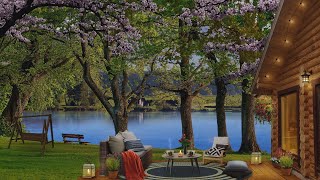 Springtime Cozy Porch Ambience |  Spring Lake  with Soothing Water Sounds and Bird Song