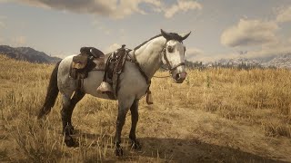 When you punch your Horse | #RedDeadRedemption #RDR2 #Funny