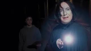 snape is the comedic relief and you can't change my mind