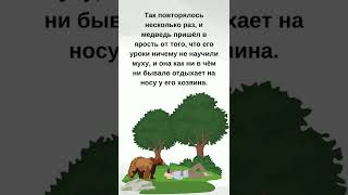 Медвежья услуга  Притча #Shorts