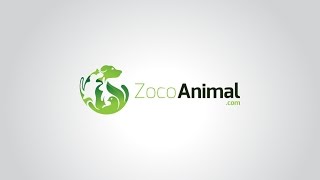 Presentación ZocoAnimal.com