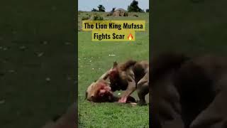 The Lion King 👑 | Mufasa and Scar 😱🔥#shorts #short #viral  📈⚡️📉