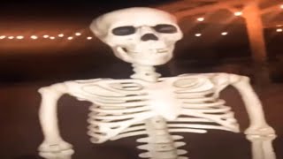 Top 5 Skeleton