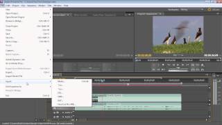 How to Export video from Adobe Premiere Pro CS5