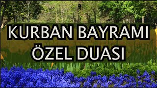 Kurban Bayramı Özel Duası | Allah’ım! Yuvamıza huzur, helal rızık ve bol kazanç nasip eyle!