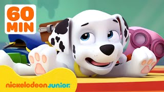 PAW Patrol | Pat' Patrouille Les moments les plus amusants de Marcus ! 🤭 | Nickelodeon Jr. France