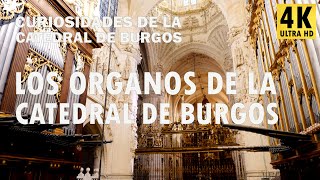 12 Los órganos de la catedral de Burgos - Curiosidades de la catedral de Burgos