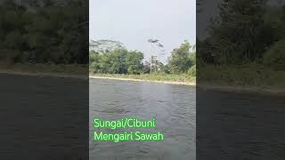 cibuni#shorts #sungai #kali