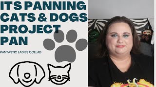 It's Panning Cats and Dogs Project Pan Update #6/ PANtastic Ladies Collab