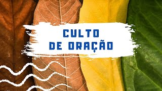 Quarta Feira - 24.04.24