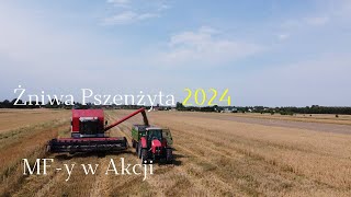 🤔Duże Żniwa w Gr Kujawiak😨🤑 Koszenie Pszenżyta 2xMF 6494 & CERA 7274 John Deere 7730 Metalfach😉