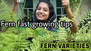 Fern varieties😍|Fern care, Bushing tips, Propagation|Fern hanging plant varieties|Fidhusworld|