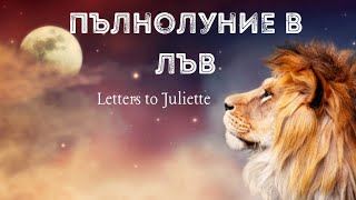 🌕Пълнолуние в Лъв 16.02♌️