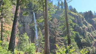 Halfway Up the Trail to Multnomah Falls with Columbia River Views