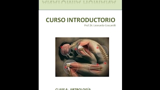 Curso introductorio de anatomia - cuadernillo 4