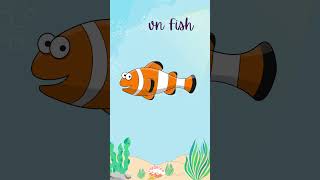 Exploring the World of Animals : Ocean Animals Part 5 #shorts #animals