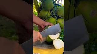 Exquisite Coconut Cutting#coconut #cutting