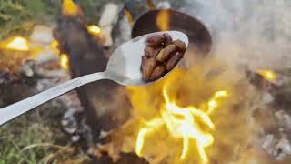 cooking beans in the forest on a campfire survival