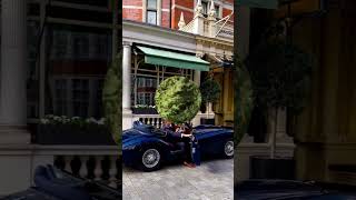 Alexander Kraft Love His Jaguar XK140 | #shortvideo #luxurylifestyle