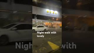 Dog night walk in Rio