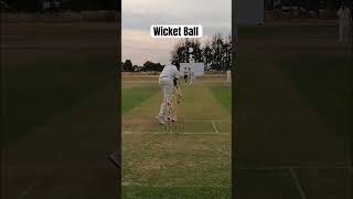 When it goes under your bat!!! #cricket #bowling #cricketlover