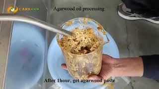 Agarwood oil extraction whole process by supercritical co2 extraction and short path distillation