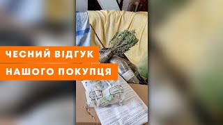 ВІДЕОВІДГУК АГРОМАРКЕТ  | Саджанці з Агромаркет. Квітучі, Декоративні та Плодові | Agro-Market.ua