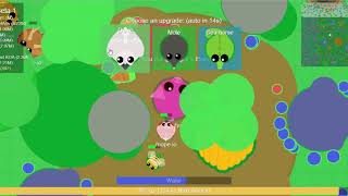 Белый голубь mope.io