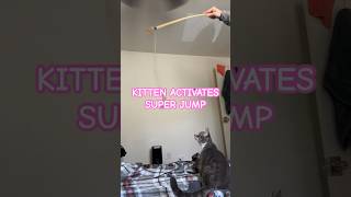 KITTEN ACTIVATES SUPER JUMP