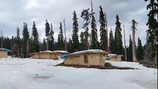 Gulmarg | Miraan Ali | Kashmir vlog