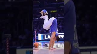 newsDog gymnast copies owner's wall stand exercise in video -#dog #viral#gymnastic