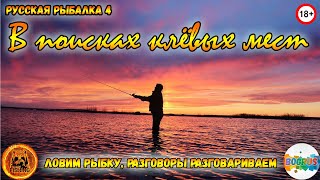 💥ТРОЛЛИНГ - СУРА 444 СЕРЫ, ТУНГУС 440 СЕРЫ, ВОЛХОВ 460 СЕРЫ💥МЕДВЕЖКА💥Русская рыбалка 4💥18+