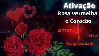 ❤🌹 ROSA VERMELHA E CORAÇÃO - ATIVAÇÃO DOS ARQUÉTIPOS  -  AMOR, RECIPROCIDADE, AFETO...